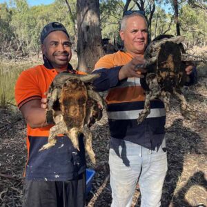 Rangers with turtles